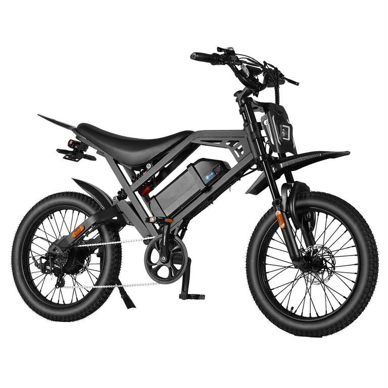 Fatbikes